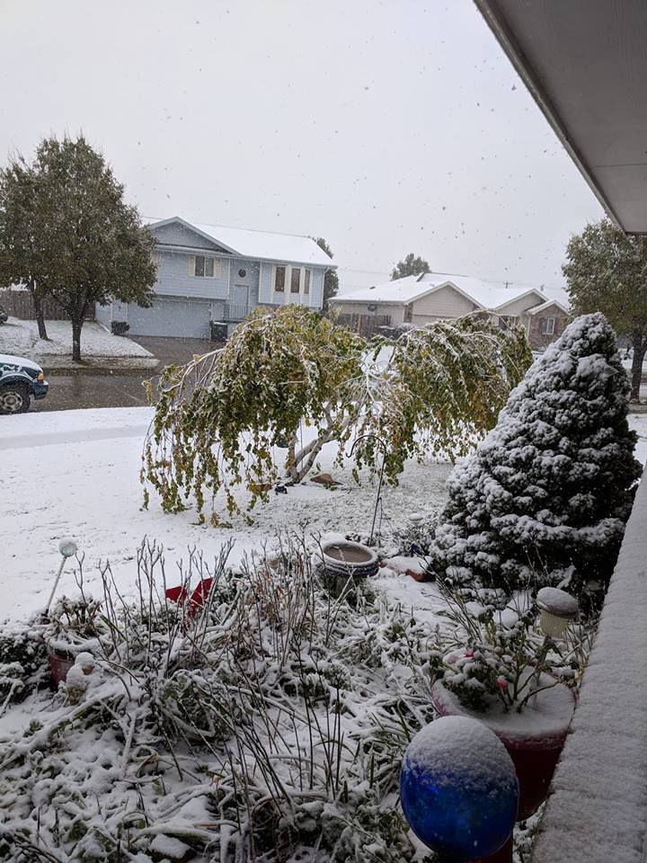 Snow, 10/14